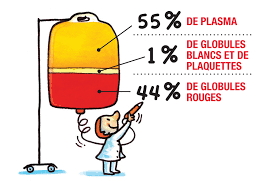 Lorsque l'énergie est fournie alors l´état de la matière change: Composants Sanguins