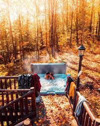 Georgia and finn's first dates hotel love story captured the nation's heart. Wild Cabins Kyle Finn Dempsey Gorgeous Light Outdoor Cabins In The Woods Photo