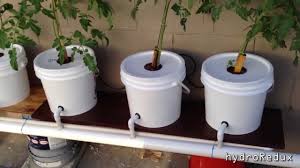 Build your own window herb garden system. How To Build A Simple Diy Hydroponics System 23 Easy Diy Hydroponic