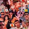 Explore stunning bad bunny wallpapers, created by theotaku.com's friendly and talented community. 1