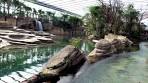 Exclusief kijkje in nieuw themapark Wildlands Adventure Zoo ... - YouTube