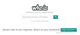 How To Check Domain Name History Best Tools