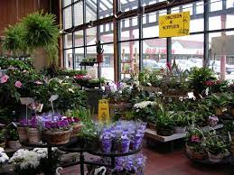 Ann Arbor Businesses Hit Hard By No In Person Commencement