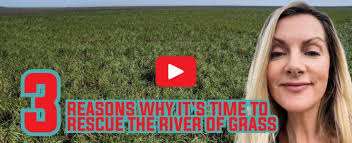 3 reasons why it's time to Rescue the River of Grass
