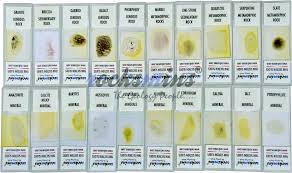 thin section of rocks minerals set of 20 slides 10 10