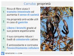 Sostituto naturale dello zucchero, questo sciroppo di carrube, è altamente saziante ed è particolarmente utile nella perdita del peso, grazie al elevato contenuto di fibre alimentari. Carruba Proprieta Curative E Nutritive Di Pianta E Semi