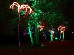 Parkleuchten Im Grugapark In Essen