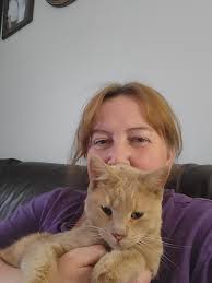 Milo dog rescued and recovering