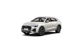 Image result for Vicuna Beige 2022 Q8