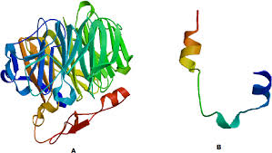 Steroidal Glycoalkaloids From Solanum Nigrum Target