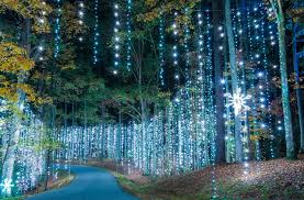 Shining red christmas ball hanging from a branch of a christmas tree isolated on a white background with copy space place (sample text). The 15 Best Christmas Light Displays In The U S Travel Us News