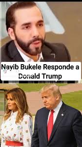 Palabras del narkobukele