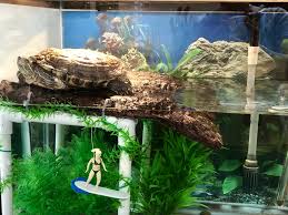 Custom Turtle Dock Turtle Dock Turtle Habitat Turtle Aquarium