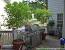 Perennial Shade Container Plants