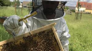 Check spelling or type a new query. Tout Savoir Sur L Apiculture Avec Une Journee Qui Va Faire Le Buzz