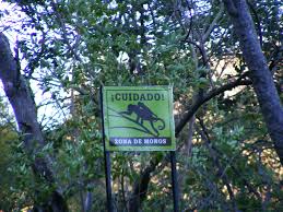 Caution! Monkey Zone!