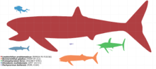 The problem is that, although leedsichthys is known from dozens of fossil remains from around the world and weights of over 50 tons. Leedsichthys Wikipedia