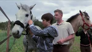 Ça fait 2 semaines que j'essaye de mettre la vidéo aller voir mes autre vidéo 😘 bisous. Episode N 1 Le Choix Des Poneys Video Dailymotion