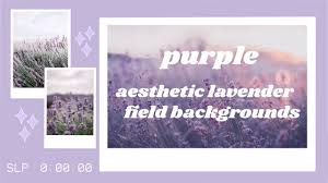 Freetoedit background backgrounds purple aesthetic star. Purple Aesthetic Lavender Field Background Animations Youtube