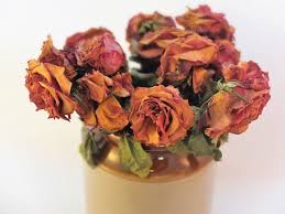 Preserve your wedding flowers and create beautiful mementos with these flower preservation optional: How To Preserve Wedding Bouquet With Hairspray Arxiusarquitectura