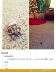 Awwww Yis Funsubstance Cute Funny Animals Funny Animals Cute Animals