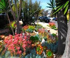 See all available apartments for rent at 3400 south main street in santa ana, ca. Santa Ana Water Smart Landscapes The City Of Santa Ana