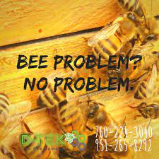 We service all of san diego! Pin On Bee Removal