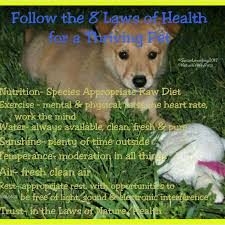 A disease is an effort of nature to free the system from conditions that result from a violation of the laws of health. Nature S Way Carolina Dogs The 8 Laws Of Health And Why They Are Important In Raising Your Puppy