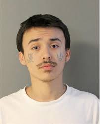 ᐅ Illinois Criminal Records 2009-2025