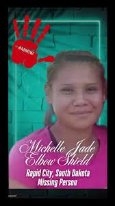 Shenita Mechelle Roberts What Happened