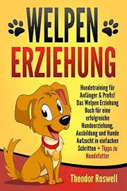 Die wichtigsten werkzeuge bei der welpenerziehung sind natürlich die stimme und die eigene körpersprache. Welpenerziehung Hundetraining Fur Anfanger Profis Das Welpen Erziehung Buch Fur Eine Erfolgreiche Hundeerziehung Ausbildung Und Hunde Aufzucht In Einfachen Schritten Tipps Zu Hundefutter Ebook Roswell Theodor Amazon De Kindle Shop