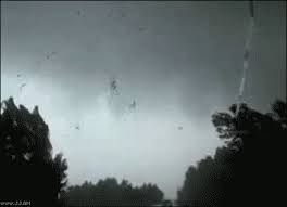 See more ideas about tornado tattoo, tornado, tattoos. Tornado Gifs Primo Gif Latest Animated Gifs