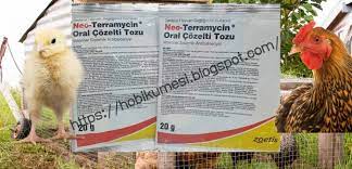 tavuklarda neo terramycin vitamin kullanimi hayvan hayvanlar vitamin
