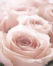 Shop our rose gold flower rings selection from top sellers and makers around the world. Rosegold