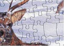 With the best free online jigsaw, you'll never lose a piece under the table again! Jigsaw Puzzle Manufacturers Puzzle Makers And Jigsaw Brands