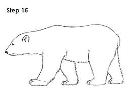 Polar Bear Drawing 15 Polar Bear Drawing Bear Drawing Polar Bear Coloring Page