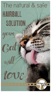 The Natural And Safe Hairball Solution Your Cat Will Love The Blessed Pet Shop Cat Food Cat Care Cat Treats Homemade