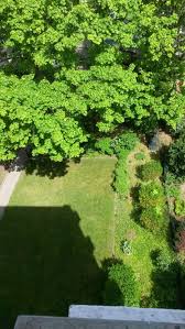 3 Zimmer Wohnung Zu Vermieten Schwedlerstrasse 120 67063 Ludwigshafen Am Rhein Friesenheim Mapio Net