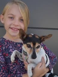 Ipswich community members had a fur-tastic day at the 2023 Dog Day at  Nicholas Street Precinct!
