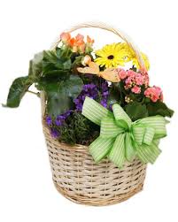 State of alabama from 1963 to 1967, best known for his opposition to then governor george c. Shop By Flowers Delivery Norfolk Va The Sunflower Florist