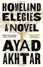 A Book Review By Elissa Greenwald Homeland Elegies A Novel