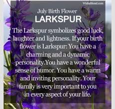 Tattoo Symbol July Birth Flower Birth Flowers Birth Month Flowers