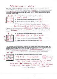 Spongebob genetics quiz answer key + my pdf collection 2021 the complete guide to excel 2016, from mr. Spongebob Biology Worksheet Printable Worksheets And Activities For Teachers Parents Tutors And Homeschool Families