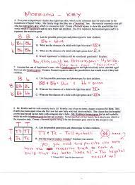 Genetics basics pogil answer key. Spongebob Biology Worksheet Printable Worksheets And Activities For Teachers Parents Tutors And Homeschool Families