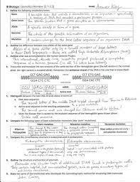 Meiosis 1 stages quizlet from mitosis and meiosis worksheet answer key , source:therlsh.net. Ib Chromosomes Meiosis Review Key 3 1 3 3