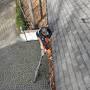 Gutter Cleaning Services from rhmaintenance.com