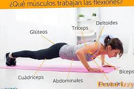 Siti norakmawani norfarhah fauzi nuratiqah mohd sabry muhammad zairul iqram muhammad. Otot Mana Yang Berfungsi Pushups