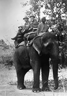 Duke of Connaught Riding Elephant Print, 1921 India. Art Prints, Posters & Puzzles from Fine Art Storehouse
