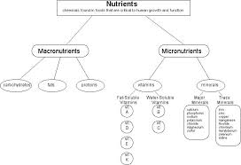 Nutrients Micro And Macro Mineral Nutrition Micro