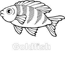 The entire library of our object mockups is at your disposal. Fish In The Net Clipart Black And White Novocom Top